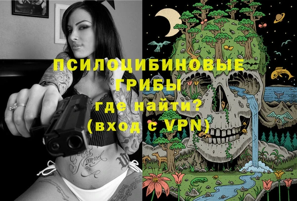 jwh Бородино