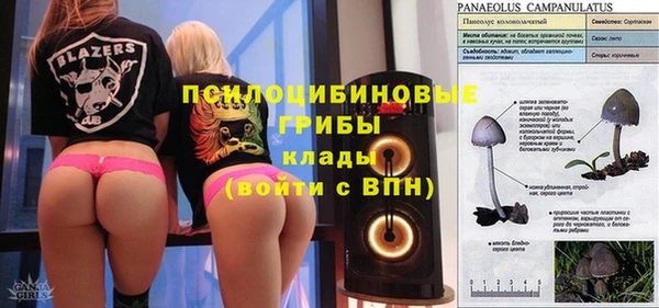 jwh Бородино