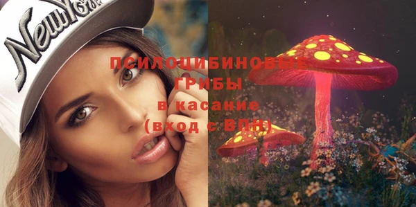 марихуана Снежногорск