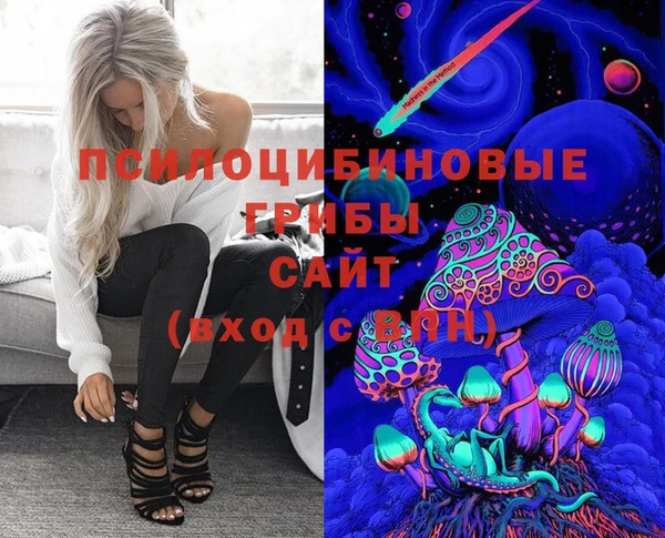 стафф Снежинск